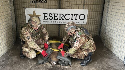 Operazione di bonifica a Milazzo, artificieri dell’Esercito Italiano neutralizzano bomba d’aereo di oltre 100 Kg