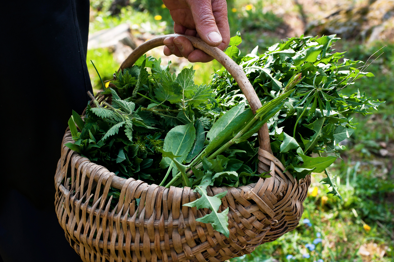 Caltanissetta, corso di riconoscimento erbe selvatiche siciliane