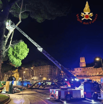 Roma, cade albero in via dei Fori Imperiali: nessun ferito