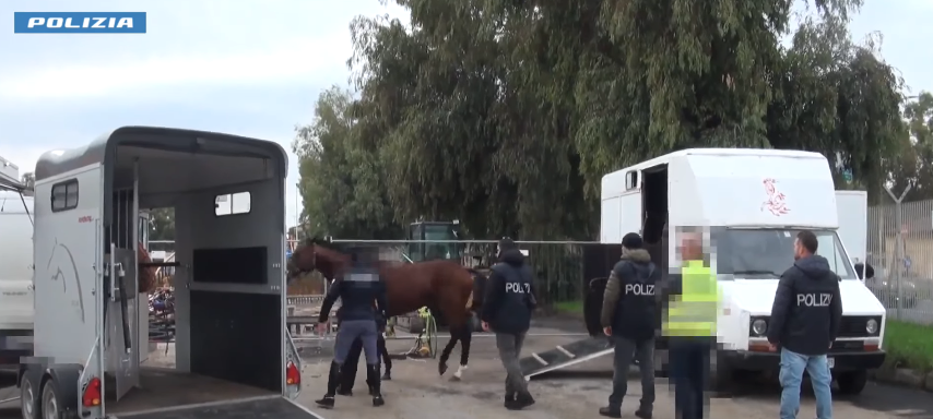 Corse clandestine di cavalli nel Catanese, 15 denunciati dalla Polizia