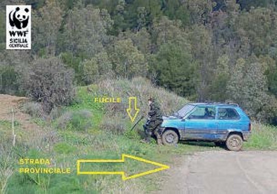 La denuncia del WWF Sicilia Centrale:«I bracconieri vanno a caccia e pure sparano a bordo strada»