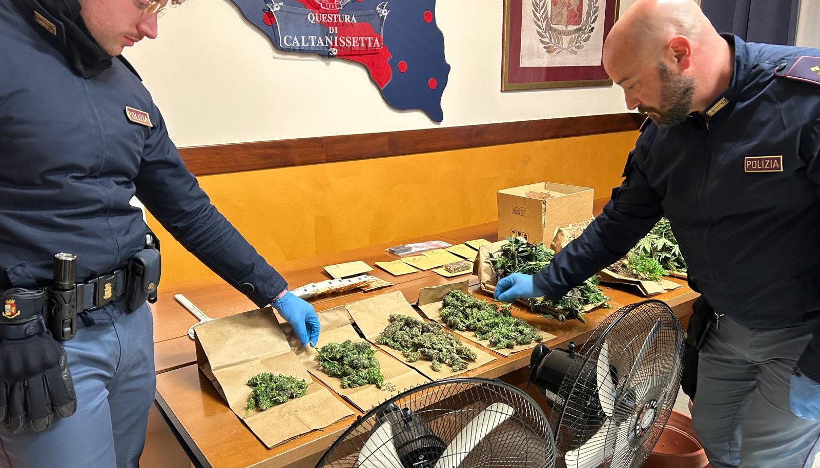Caltanissetta, serra di marijuana in casa in centro storico: 30enne arrestato dalla polizia