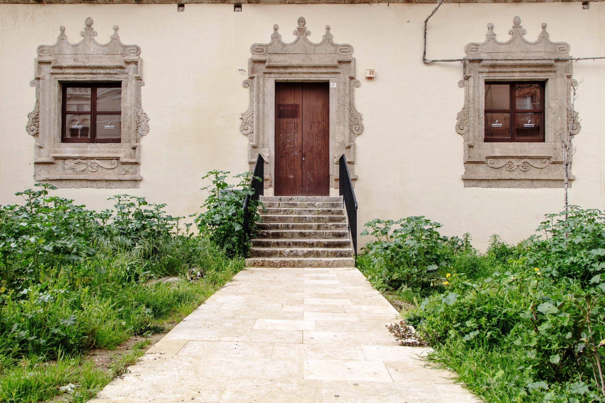 Caltanissetta. Leandro Janni (Italia Nostra Sicilia): “A Palazzo Moncada la speranza è…un’erbaccia che ricresce”