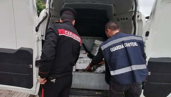 Quasi 300 chili di pesce senza tracciabilità, scattano sequestro e multa a Palermo
