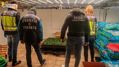 Traffico di droga su asse Italia-Spagna, narcotico nascosto in bancali di frutta e sacchi di mangime