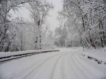 Bimbo lasciato a piedi dal bus, autista chiede scusa. Genitori: “La questione è chiusa”