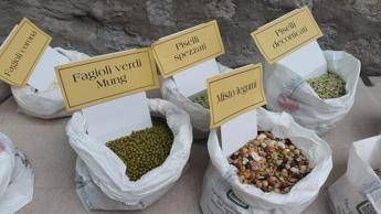 Dalle lenticchie alla cicerchia, ad ogni legume le sue proprietà