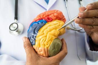 Malattie neuromuscolari e miastenia grave, nasce academyX per l’alta formazione