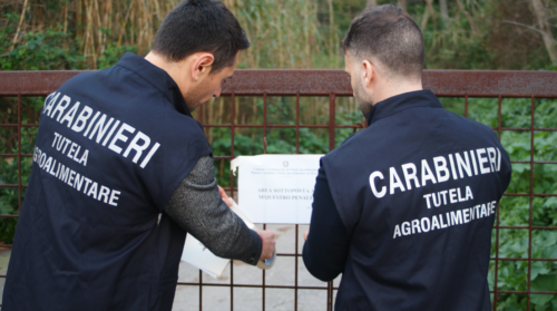 Truffa ai danni dell’Ue, Procura europea e Carabinieri disarticolano associazione per delinquere in Sicilia