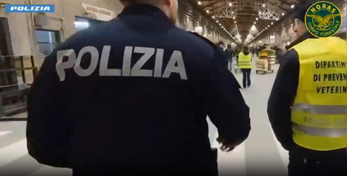 Controlli al Mercato agroalimentare di Catania, sequestrate 4,5 tonnellate di ortofrutta