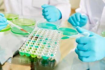 Studi no profit, nasce l’alleanza tra Fondazione Veronesi e Ficog