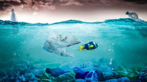 Plastiche nei mari. Codacons: “Bisogna attuare pienamente la legge “Salva Mare”