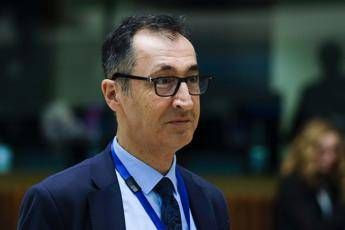 Germania, elezioni in Baden-Wuerttemberg: Verdi avanti alla Cdu, le proiezioni