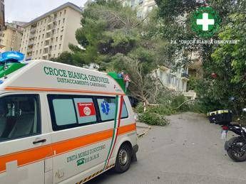 Maltempo sull’Italia, donna ferita da un ramo caduto a Genova. Grandine e pioggia a Roma, traffico in tilt