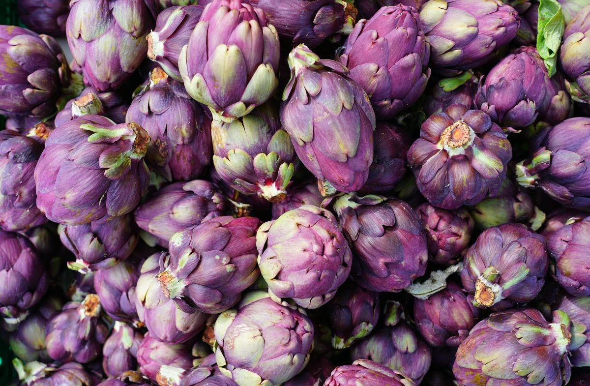Tra le Sagre premiate dall’Unione delle Pro Loco Italiane a Roma c’è anche quella del Carciofo violetto di Niscemi