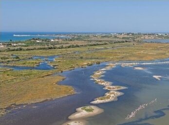 La Sicilia laboratorio di restauro ambientale: due esperienze a confronto con la Società di Scienze Naturali il 20 marzo