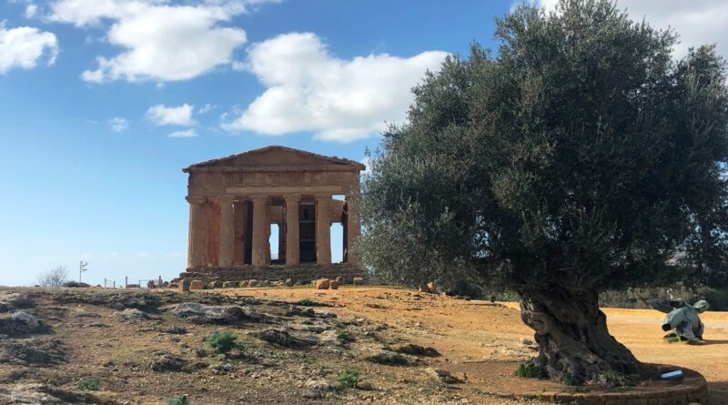 Passeggiate naturalistiche e laboratori per famiglie: Flora – Percorsi di Primavera prende il via il 29 marzo ad Agrigento
