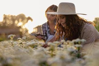 Sostenibilità, torna ‘The Good Farmer Award’: candidature aperte fino al 15 maggio