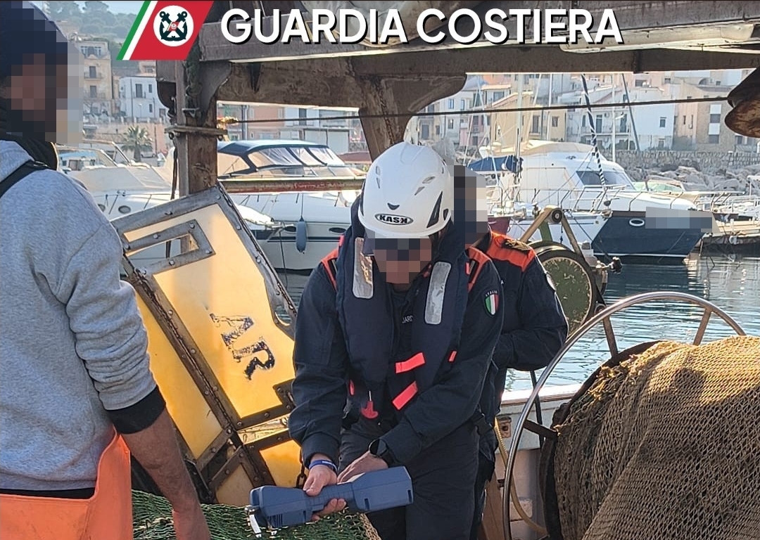 Maxi operazione “Phoenix” della Guardia Costiera di Palermo, sequestrate 21  tonnellate di prodotti ittici