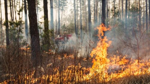 Caltanissetta, prevenzione incendi: tutte le disposizioni per la manutenzione dei suoli agricoli e delle aree verdi