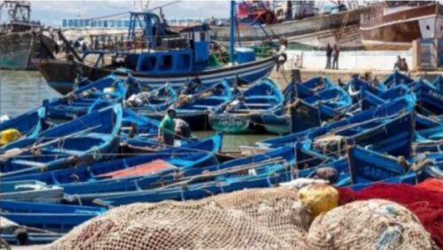 Armatori siciliani: “Al vaglio il blocco dello Stretto di Messina il primo maggio”. Protesta delle marinerie isolana e calabrese contro il caro carburanti