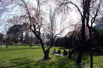 Temperature sopra la media, ma potrebbe tornare la pioggia: previsioni meteo