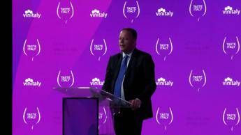 Vino, Bricolo (Veronafiere): “Asset a sostegno dell’export, a fianco delle aziende”