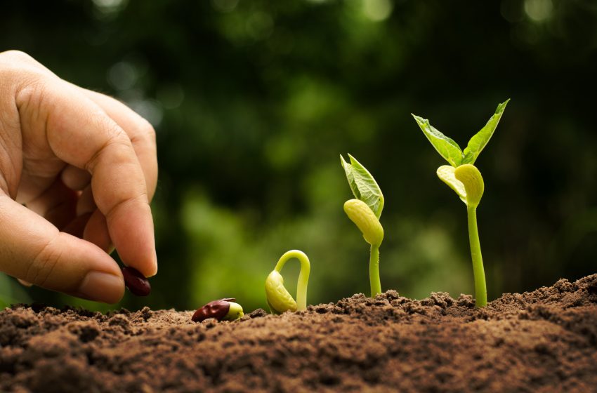 Caltanissetta, il 29 aprile la seconda edizione del Forum Agroecologia Circolare di Legambiente Sicilia