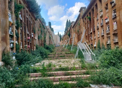 Caltanissetta. Lettore segnala: “Degrado al Cimitero Comunale