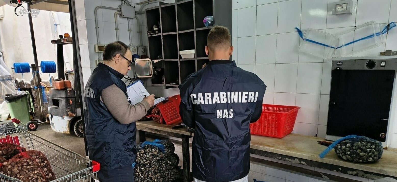 Sequestrati dal Nas di Palermo 4,5 quintali di prodotti ittici avariati