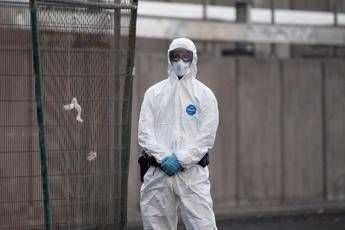 Hantavirus, l’esperta: “Più letale ma diverso da Covid, non si rischia nuova pandemia”