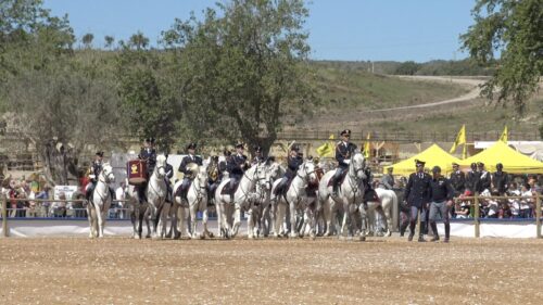 Presentata a Catania la 7^ Fiera Mediterranea del Cavallo in programma dal 15 al 17 maggio ad Ambelia