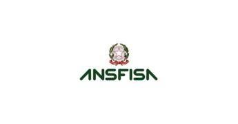 Istituzioni e Ansfisa per sicurezza infrastrutture e gestione post-emergenza