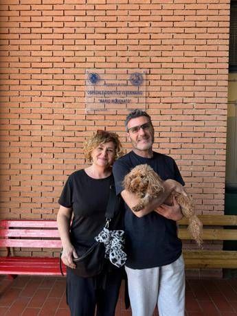 Primo impianto di pacemaker su un cane di piccola taglia