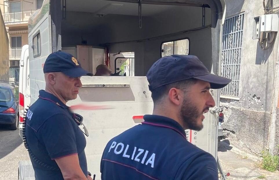 Nascosti in un immobile pericolante e in pessime condizioni igieniche e sanitarie, 3 pony sequestrati dalla Polizia a Catania