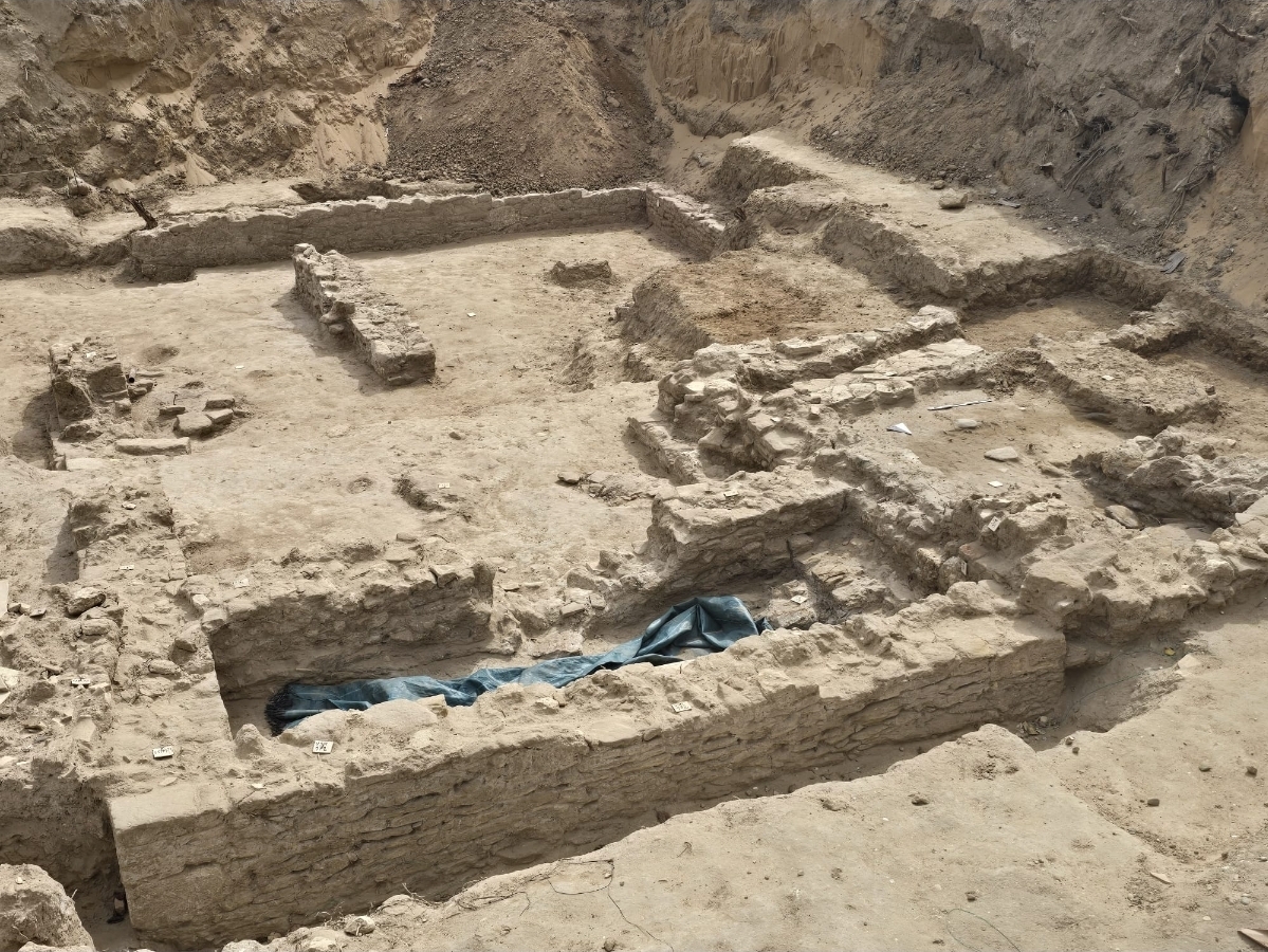 Nuova scoperta archeologica a Gela, rinvenute 71 monete ben conservate. Scarpinato: «Un tesoro fonte di inestimabili informazioni storiche»