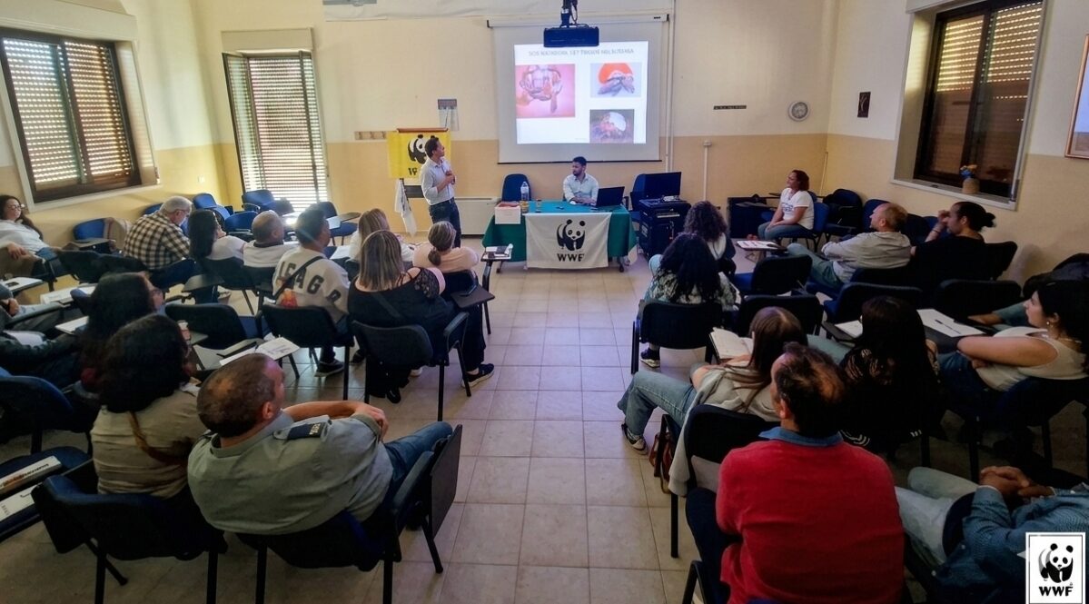 Caltanissetta, WWF Sicilia Centrale: concluso il corso di primo soccorso per la fauna selvatica