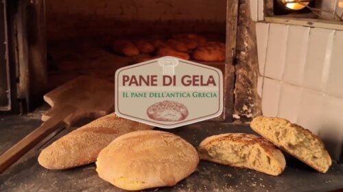 “Progetto Pane di Gela”: si sta lavorando ad una guida su come viene preparato e come riconoscerlo