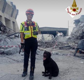 Addio al cane Allyson professionista del salvataggio