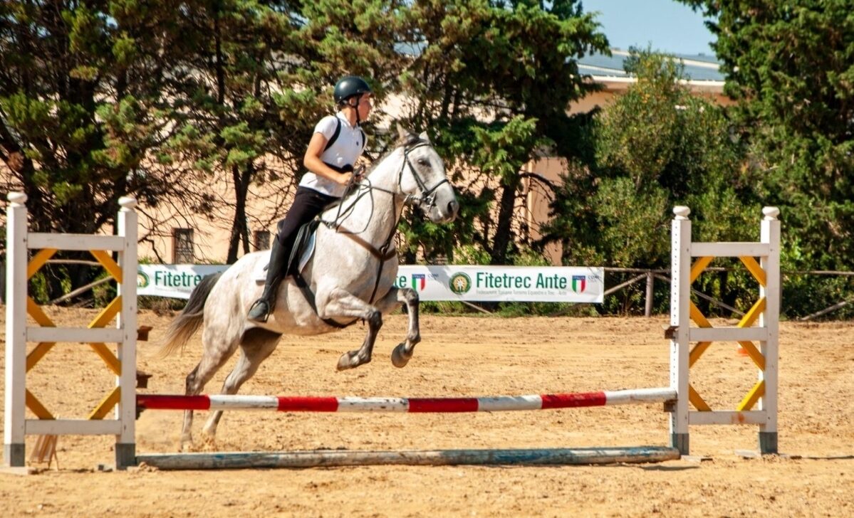 Nasce la Segesta Horse Cup 2026 I Edizione: a Buseto Palizzolo il grande evento finale del Campionato Regionale Fitetrec-Ante