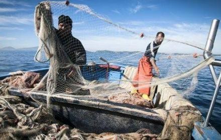 Pesca, avviso per sensibilizzare le scuole al consumo dei prodotti ittici. Sammartino: «Scommettere sull’educazione alimentare»