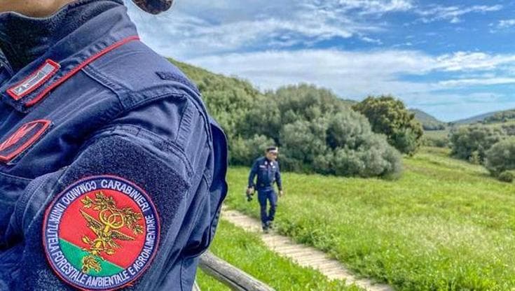 Uccelli esotici detenuti in gabbie sporche, un denunciato a Palermo