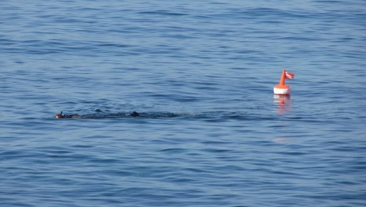 Tragica battuta di pesca subacquea:  cinquantenne muore in mare