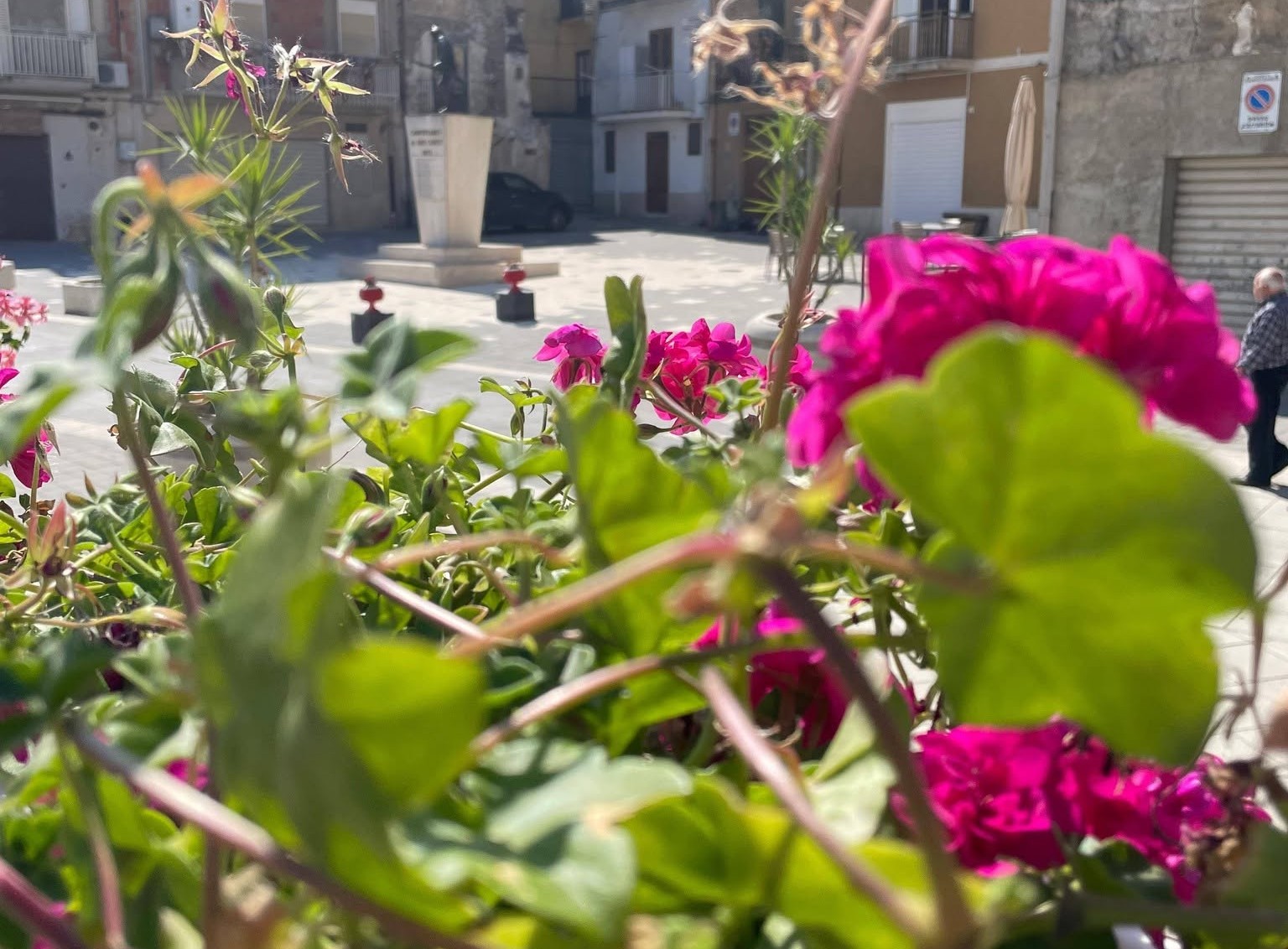 Concluso l’evento “Campofranco in Fiore”: ecco l’elenco dei vincitori e dei premi che gli spettano