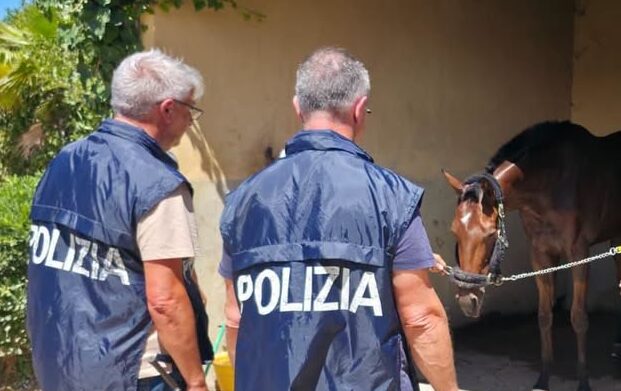 Bloccata corsa clandestina di cavalli a Caltagirone, 9 denunciati dalla Polizia