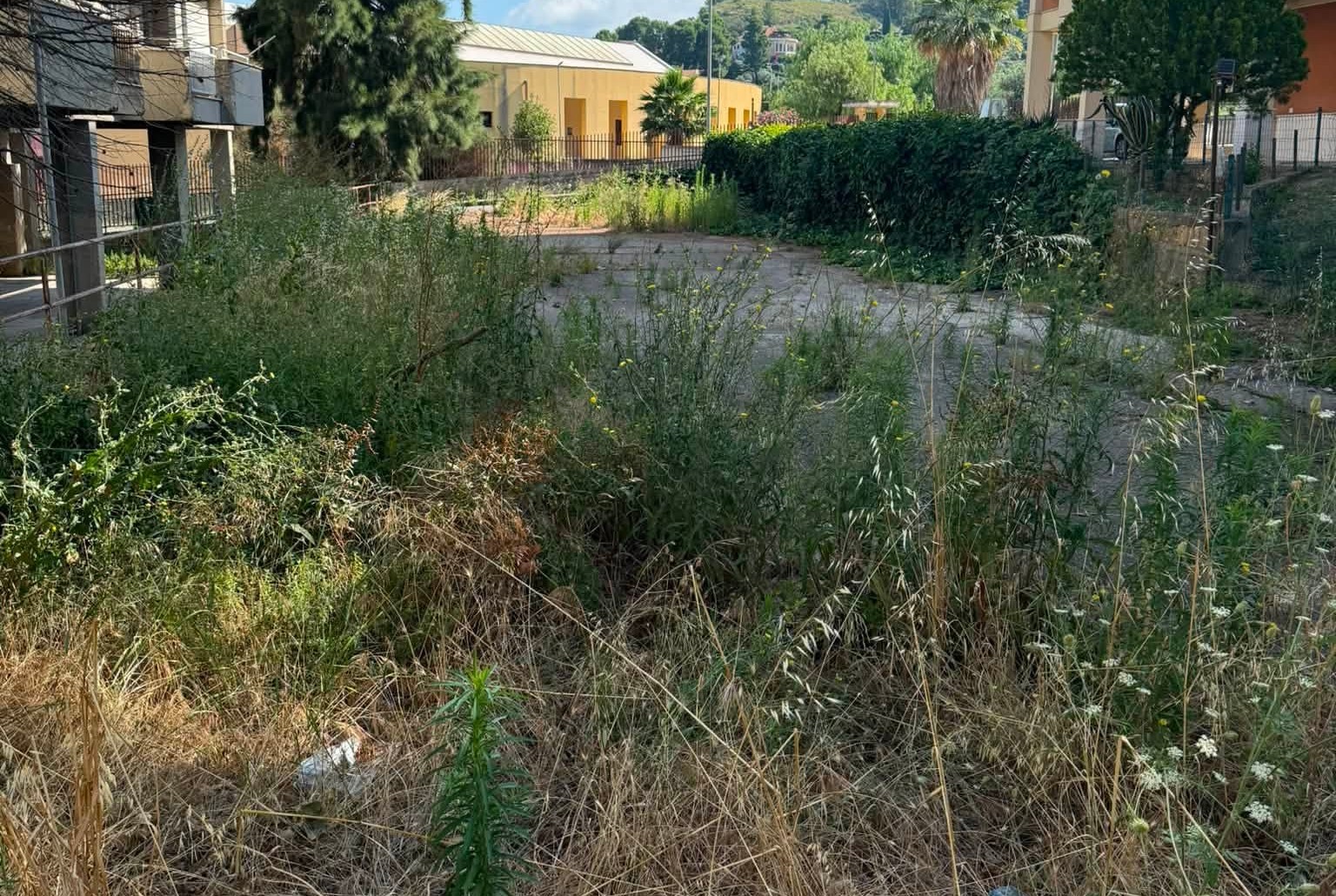 San Cataldo. La segnalazione: “Il quartiere Santa Maria di Nazareth tra le erbacce e in condizioni di abbandono”