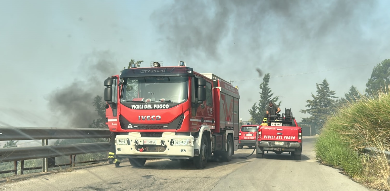 Incendi. Morte vigile del fuoco a San Cataldo, WWF: “Basta con le lacrime di coccodrillo”