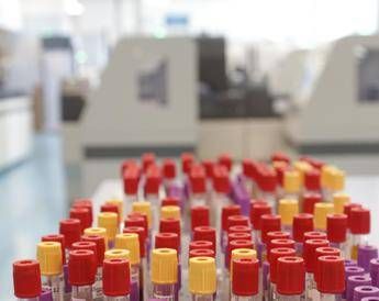 Cos’è il batterio mangiacarne sotto la lente a Messina, minaccia in crescita per il caldo record