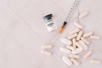 Fentanyl, anche corse clandestine cavalli tra ipotesi furto all’ospedale Israelitico