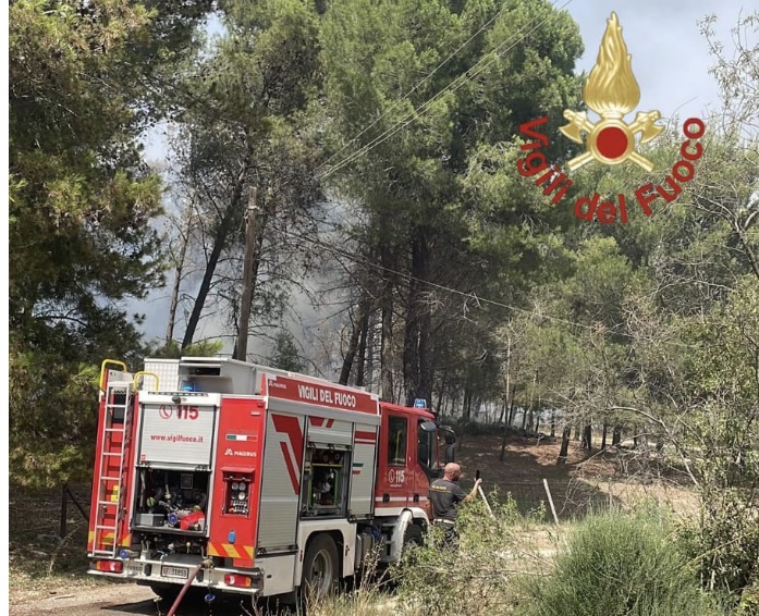 Incendio a ENNA, in fiamme il bosco di contrada Baronessa
